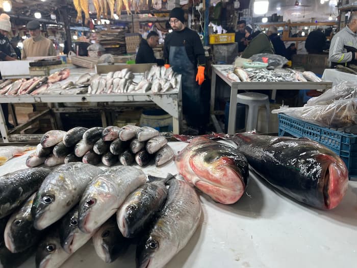 انواع ماهی&zwnj;های بازار بابلسر